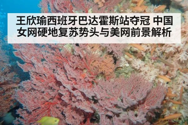 王欣瑜西班牙巴达霍斯站夺冠 中国女网硬地复苏势头与美网前景解析