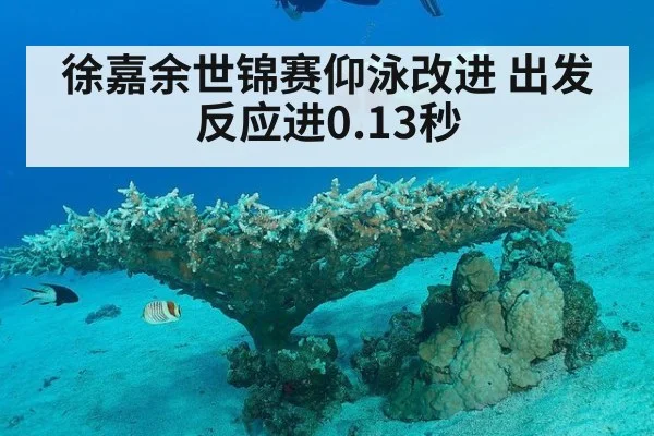 徐嘉余世锦赛仰泳改进 出发反应进0.13秒
